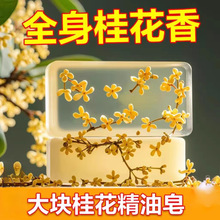 �������������־�������Ů�ֹ�ϴ���������ˮϴĘ���\