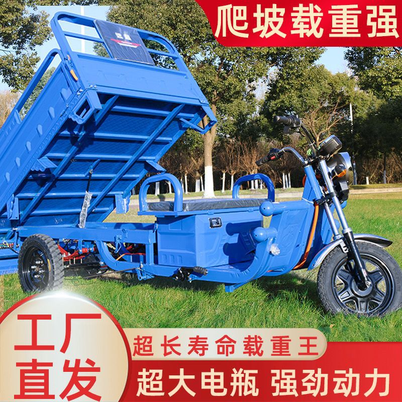 电动三轮车货车成人载货王拉货电瓶加强接送孩子代步车两用新款