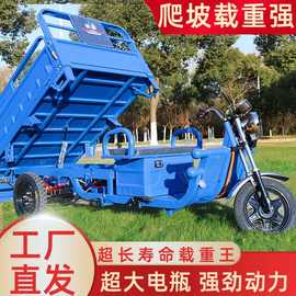 电动三轮车货车成人载货王拉货电瓶加强接送孩子代步车两用新款