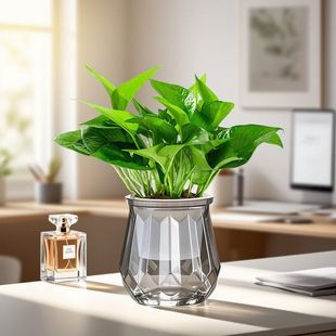 �G�}�����҃�ֲ�ﻨ�ܼ����·����ռ�ȩ�Gֲˮ�������՚���B�G�j