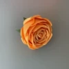 Light orange