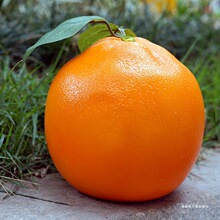 �������Ӽ�ˮ��ģ�ͽ̌W������߉���֭������ģ�͔[����