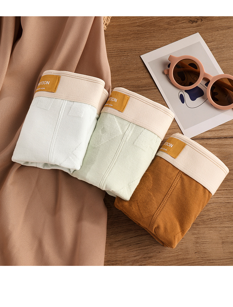 Simple Style Style Color Block Simple Style Cotton Breathable All Seasons Mid Waist Normal Type Panties Boxers & Briefs