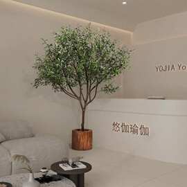 仿真绿植大型高端橄榄树盆景服装门店装饰高级仿生假植物落地盆栽