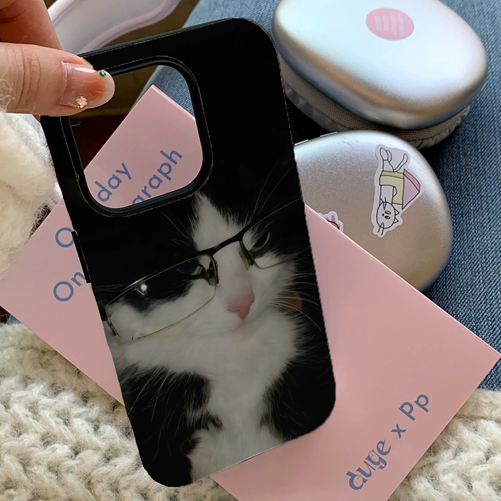 Apple, iPhone16, совместимый iPhone16 Pro, чехол для телефона, 2 в 1, 14/13/12