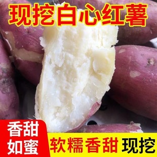 ���ϼt���tƤ���ļt��ɳ�����r��������19̖��ŴܛŴ�ع�������]