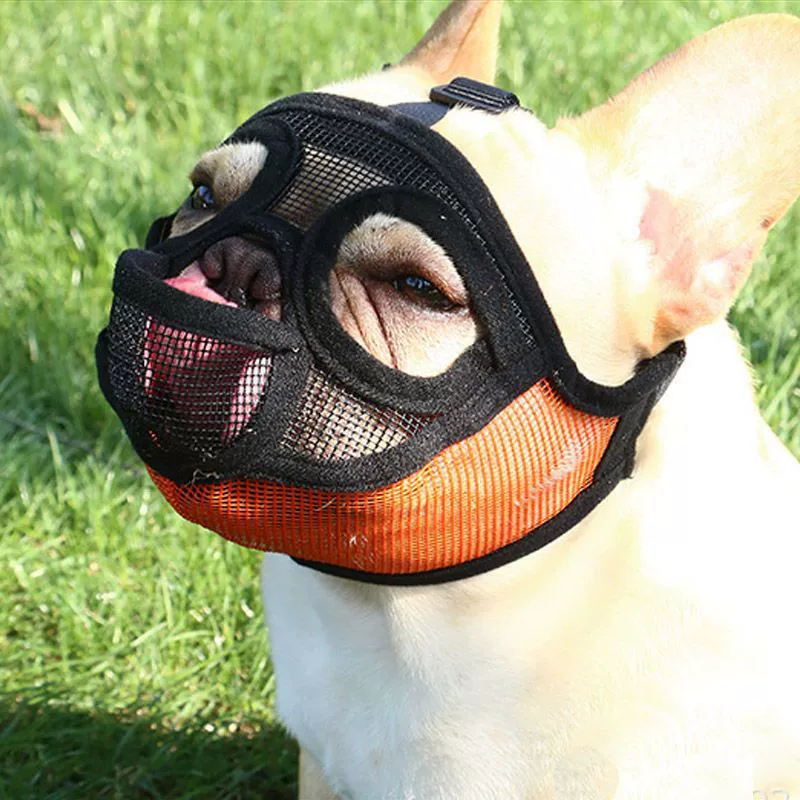Мулинг для породистого bulldog, французский и английский бойцовский пёс, маленькая собака, намордник для домашнего питомца, коротконосая собака Баго, противкусание и против желтизны