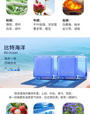 Car Air Freshener 2026 New Car Perfume Aromatherapy - bit-ocean