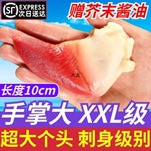 北极贝即食刺身日料冷冻兰花蚌海鲜商用半成品食材海鲜水产