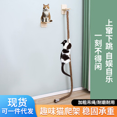 猫は天に登ります。猫は木の猫を登ります。