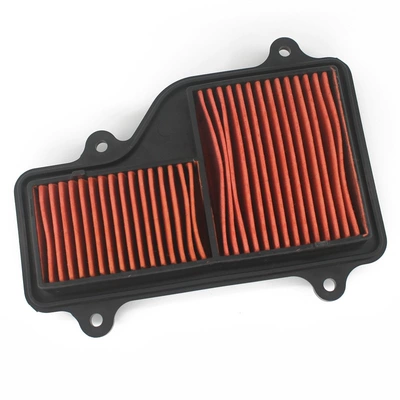 Air filter Prince Motorcycle TR150/E/ES
