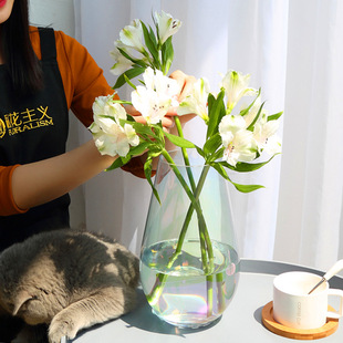 �Wʽ�����ɫ������ƿ͸���廨�ɻ���ˮ��ƿ�͏d�b�Ʒ�[�����l