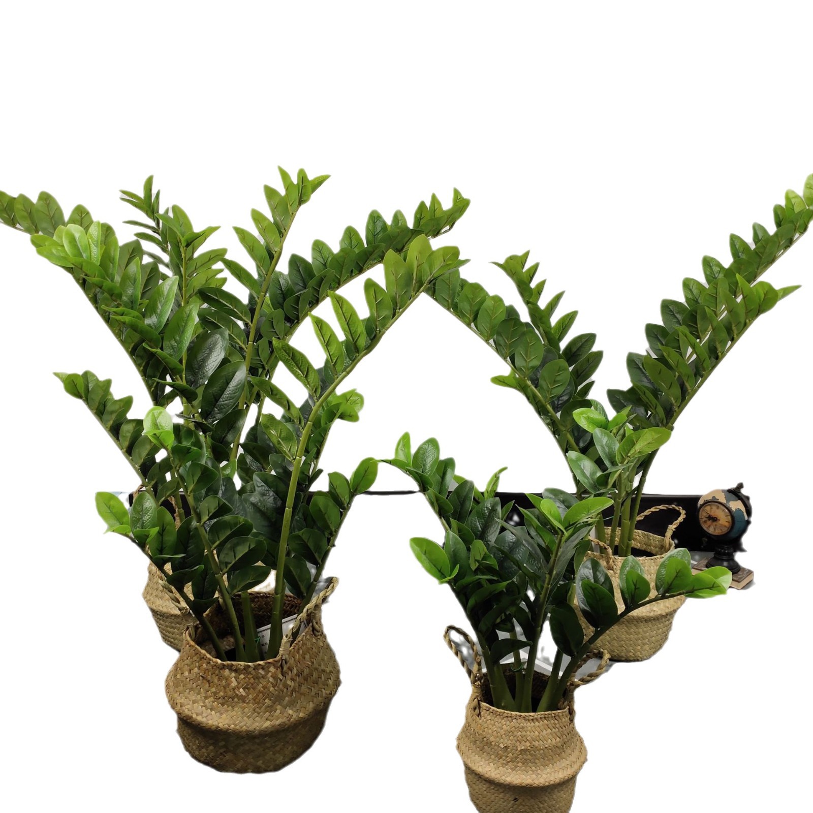 Simulación de hojas de dinero, plantas verdes, plantas en macetas, simulaciones de hojas de dinero falsas, adornos de plástico artificial, plantas verdes