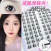 qing she shuang jian 10 pai