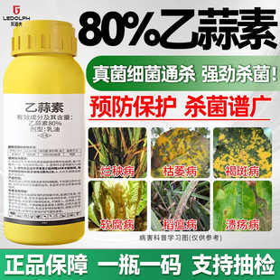 80%�����ع�������������ݻ�ù��̦��������@�������������rș