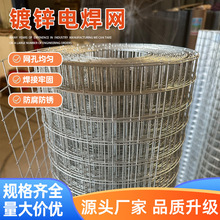 镀锌钢丝网建筑工地内外墙抹灰网养殖圈地围栏网焊接电焊网网格