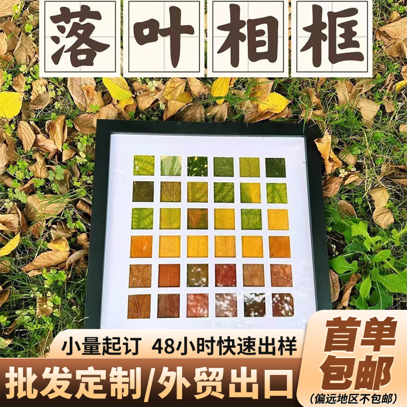 2026 Autumn and Winter Style Leaf Collection Handmade Photo Frame 48 Grids Leaf Specimen DIY Autumn Gathering 36 Grids Photo Frame