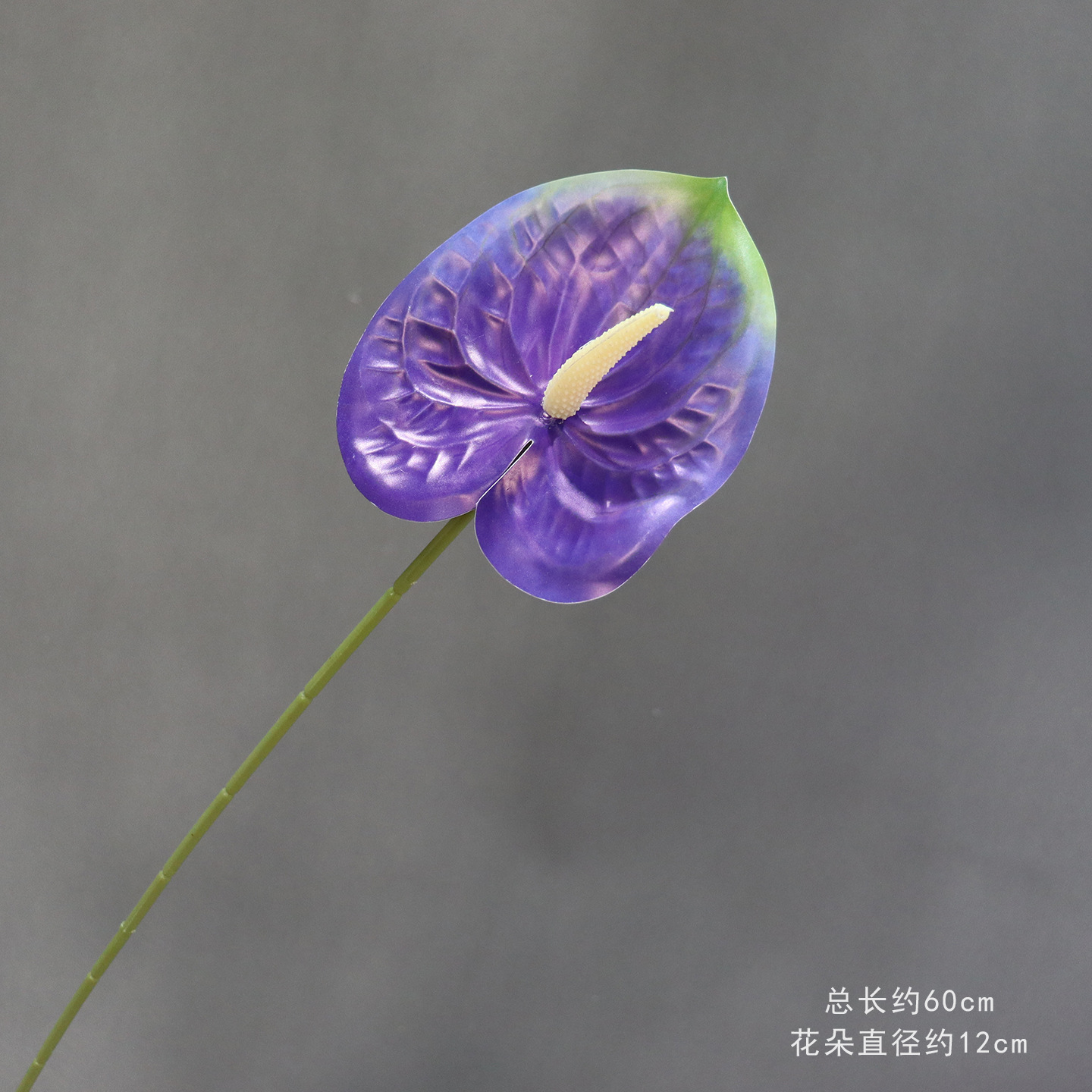 14호 3D 프린팅 안스리움