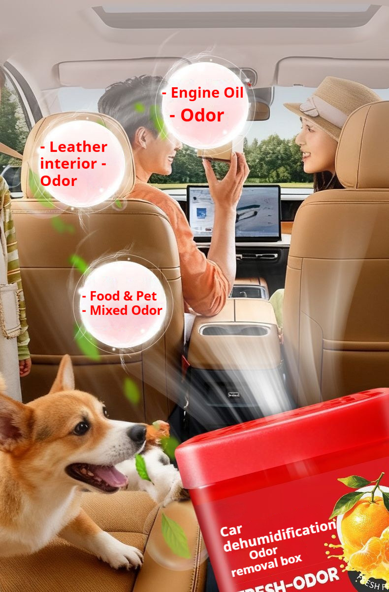 Cross-Border Special Car Dehumidifier Box, In-Car Odor Removal Magic Box, Removes Musty Smell and Odor from the Car, Long-Lasting Fragrance, Moisture Absorption