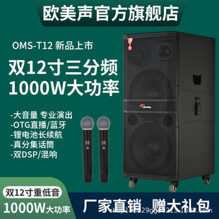 European and American Sound T12 High-Power Outdoor Audio Karaoke Singing Square Stage Performance Trolley Speaker with Wireless Microphone
