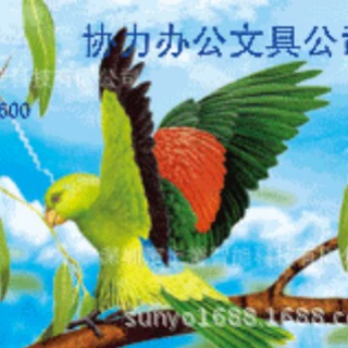 北京光栅3D名片，上海印刷3D立体名片，广州生产深圳制作3d名片厂