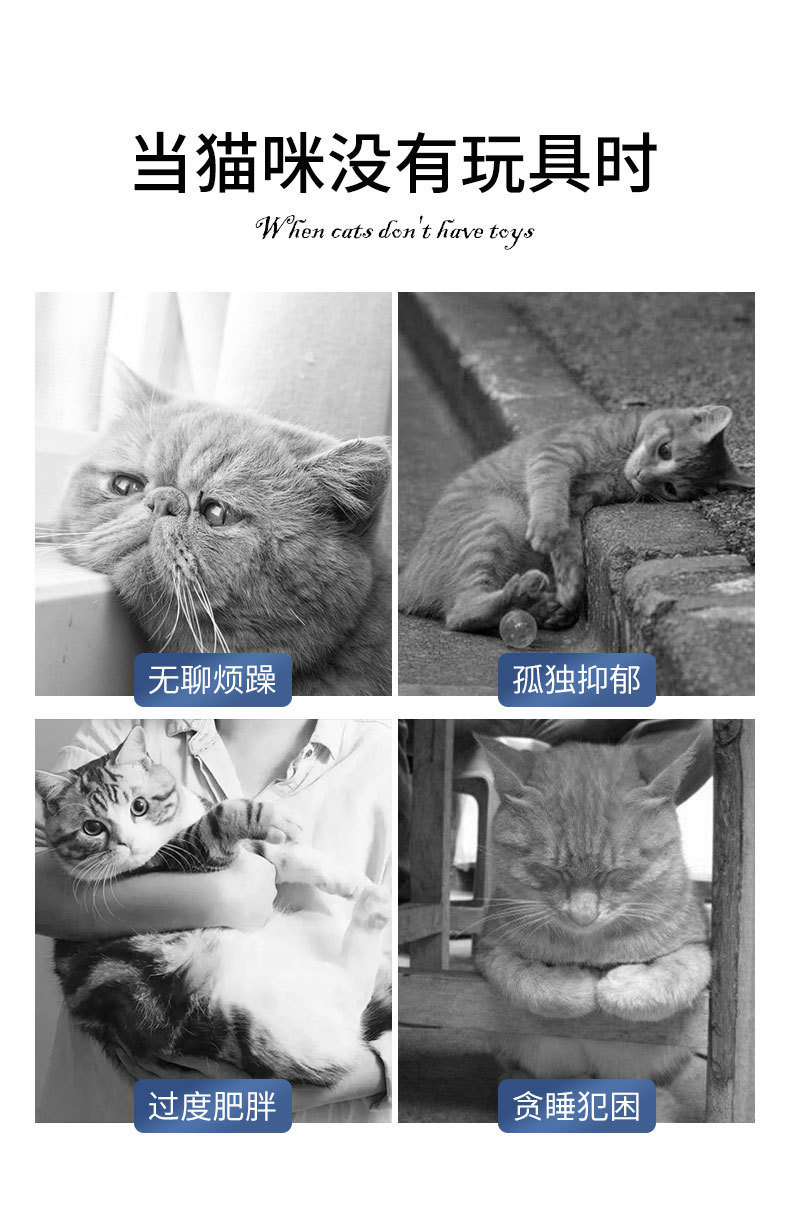 猫藓灯