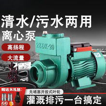 SSһwDQûSسS{ˮôxıˮ