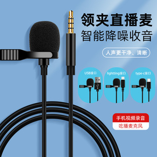 Mobile Phone Live Laptop 3.5mm Microphone Shake Noise Reduction Anchor Mini Portable type-c Microphone