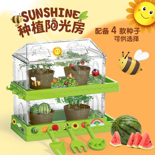 Primary school students plant observation box science experiment toys sunshine planting room children science and education frontier planting toys