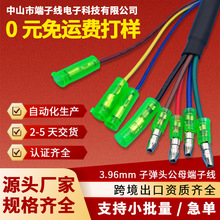 3.96�ӏ��^��ĸ�B�Ӿ����Ӿ����ӹ����Ʋ��^�B�������o����Ӿ�