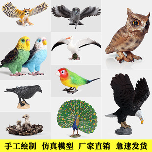 �������ģ����ߌ����w���B�؈�^�������W�^��ȸ�r�B�J֪�[��