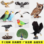 Модель животного, твердая фигурка, птицы, познавательное украшение, сова, орел, павлин, страус