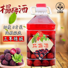 杨梅酒农家自酿梅子酒高度数果酒三年高粱酒浸泡桶装10斤果酒批发