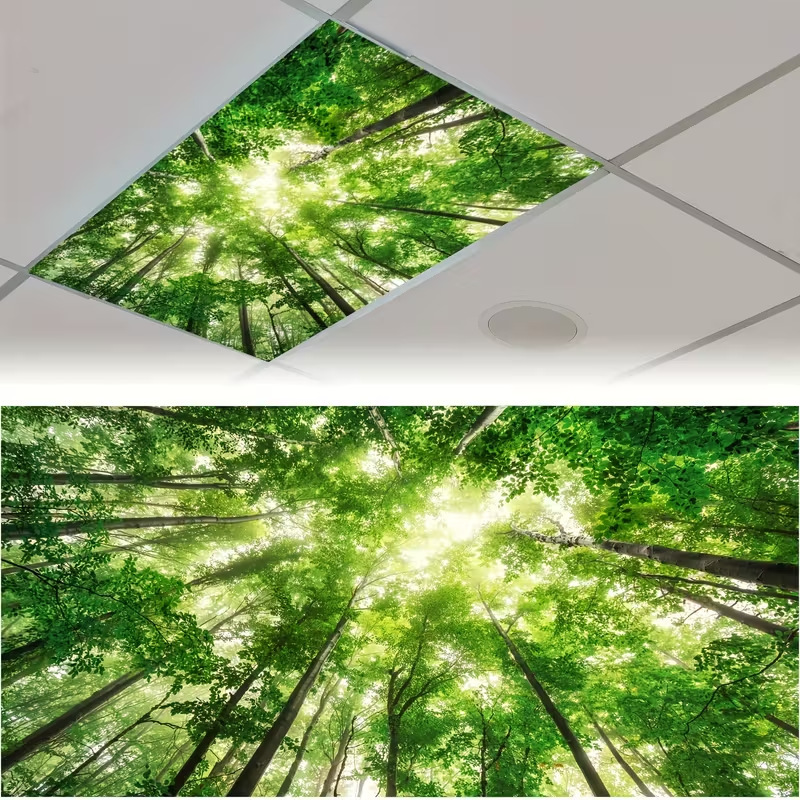 Amazon Cross-Border Best-Selling Fluorescent Light Magnetic Lampshade Source Factory Cloud-Shaped Light-Blocking Eye-Protection Ceiling Lampshade