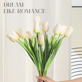 ��������滨 �ָб����Y�[���Ҿ� �b���ٻ����컨�S�����l