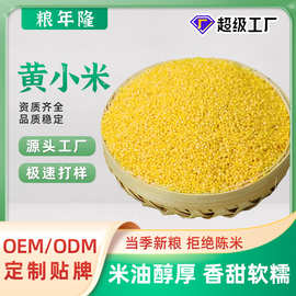 东北黄小米新米真空装早餐养胃小米粥月子米农家粗粮香糯小米批发