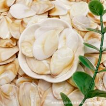 24*35mm�pɫؐ�����β�Ҏ�tƬ����֙C�܇���Ʒ��������W�t��