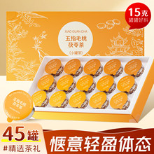 五指毛桃茯苓茶小罐锁鲜去三伏天芡实煲汤湿薏米养生轻茶女生玄参