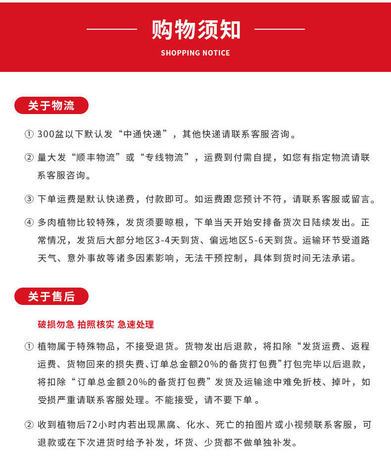 云南多肉批发组合绿植盆景多肉植物批发基地大棚肉肉植物批发盆栽922详情18