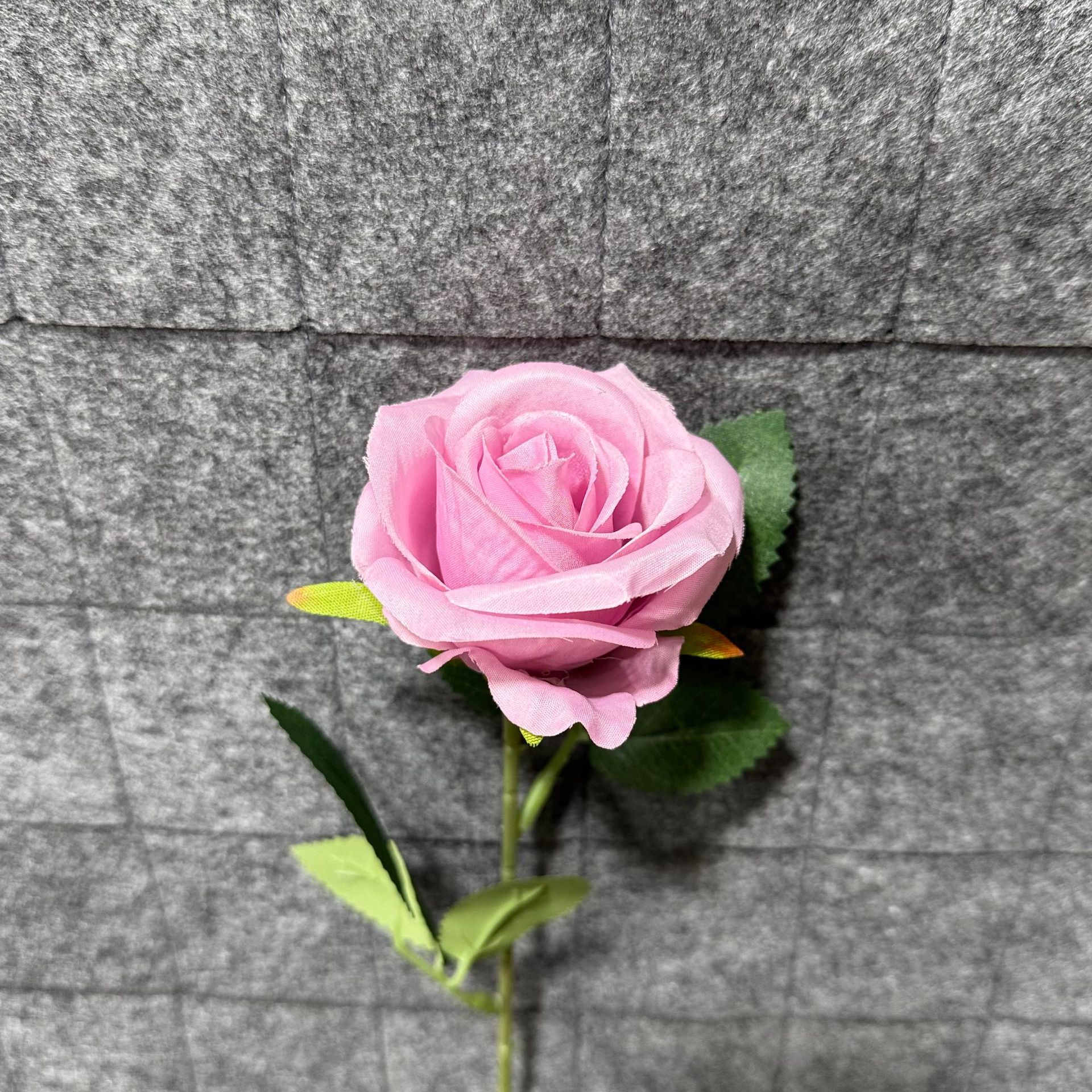 보라
