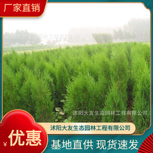 �������l �Ԯa���N�A���� ���^�쾰��·�@�ֹ��̾G����