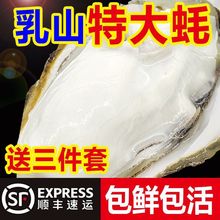 现捕乳山生蚝鲜活大牡蛎带壳贝类海蛎子鲜活海鲜水产5斤