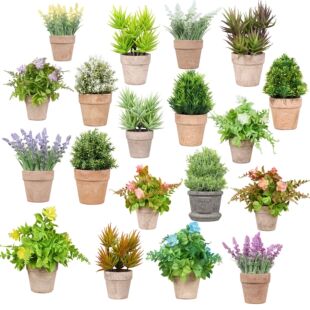 2#���{���ԽM�� �Ҿ��b�Ʒ����ֲ�������辰SHEIN���R�dTEMU؛Դ