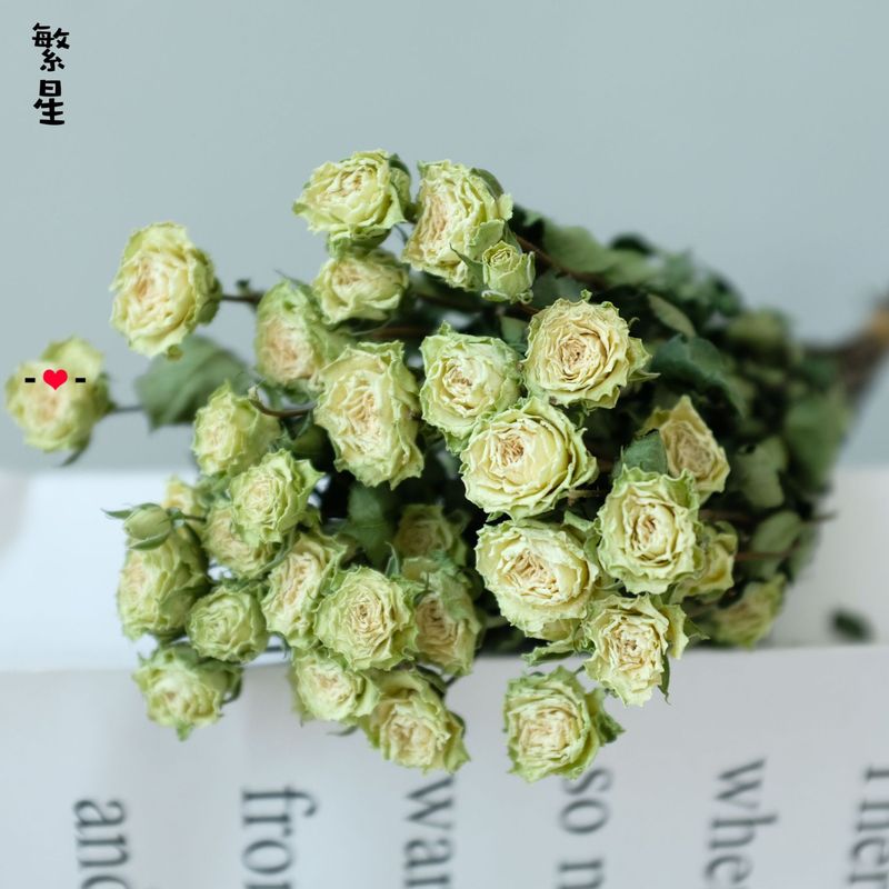 雲南昆明直発多頭バラの花の単頭バラの花の花束バラの泡飾りメーカーの卸売り|undefined