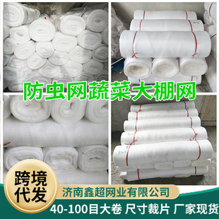 �羳80Ŀ���x�W�߲˴����r���Bֳ�W �����x�����x���W���@���x�W