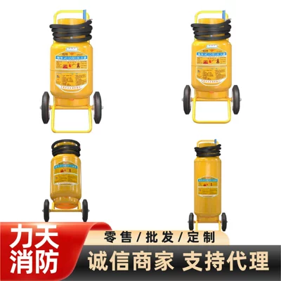 D-type dry powder fire extinguisher for Vehicle fire extinguisher