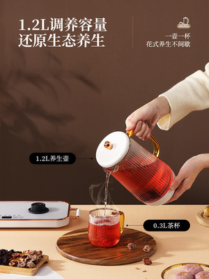 高端電熱水壺燒水壺家用保溫恒溫壹體小型煮茶器迷妳養生壺全自動