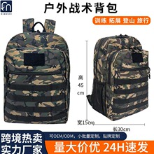 �����Բʑ��g�p����F���b���ռ{����������ɽ�\�Ӱ����¿����а�