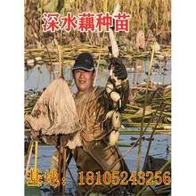 ߮aźʳˮźNźˮBɏźNԳNֲɻ