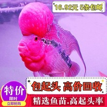 ���]�_�h�~�����\���^�R�t�����~���^�p�~���^���N�_�h�~��������